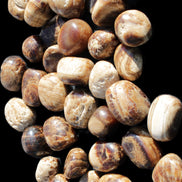 Chocolate Calcite 41 tumbled stones 25*20mm - 30*25mm 725g Wholesale in sunlight - Rocks and Things Store