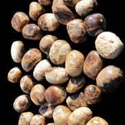 Chocolate Calcite 41 tumbled stones 25*20mm - 30*25mm 725g Wholesale in sunlight - Rocks and Things Store