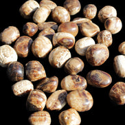 Chocolate Calcite 41 tumbled stones 25*20mm - 30*25mm 725g Wholesale in sunlight - Rocks and Things Store