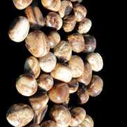 Chocolate Calcite 41 tumbled stones 25*20mm - 30*25mm 725g Wholesale in sunlight - Rocks and Things Store