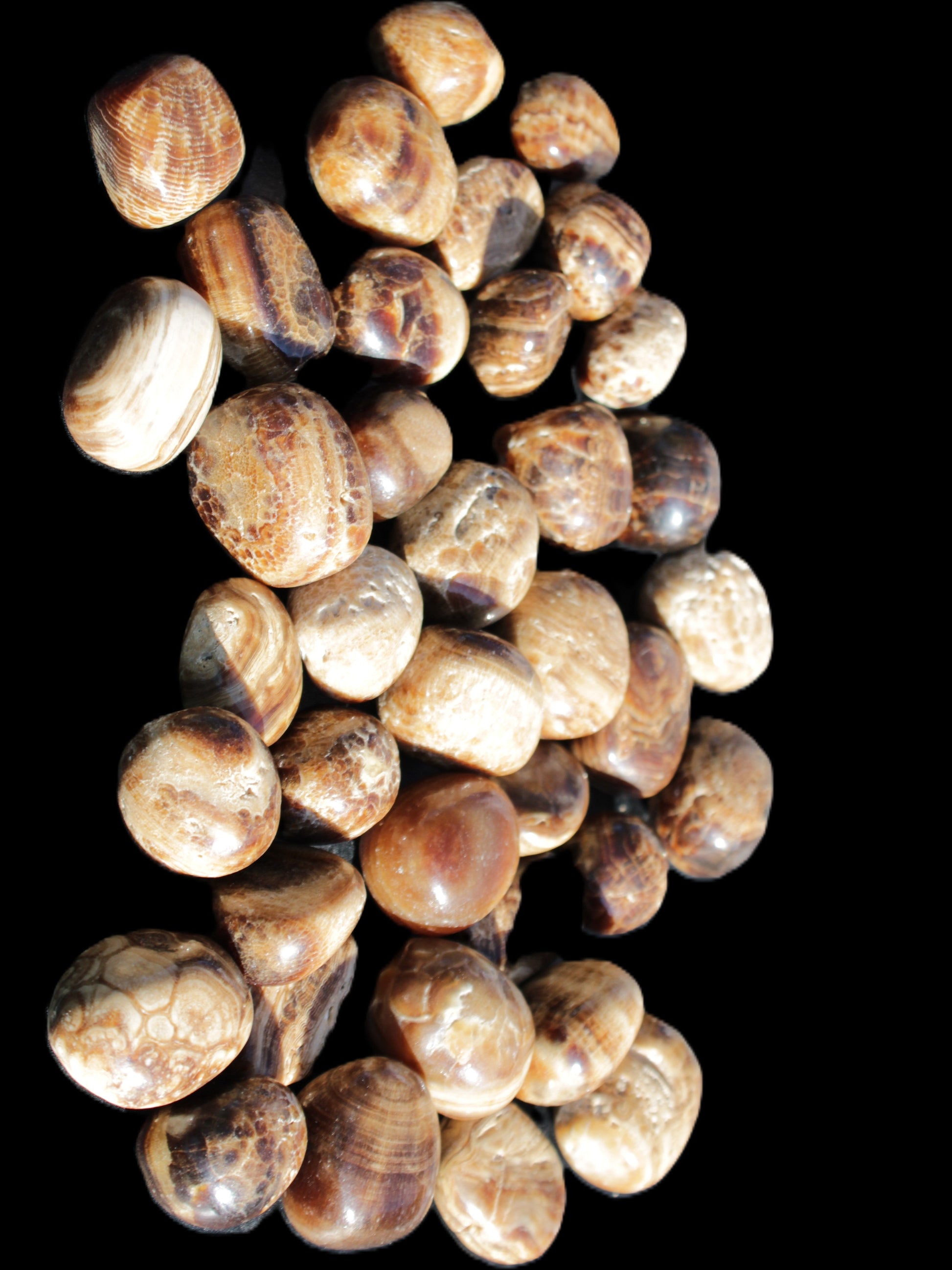Chocolate Calcite 41 tumbled stones 25*20mm - 30*25mm 725g Wholesale in sunlight - Rocks and Things Store