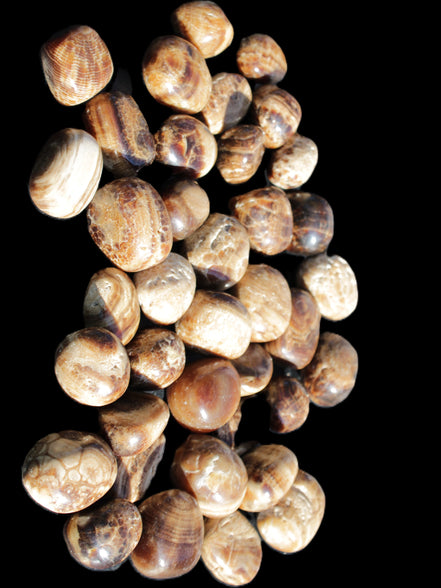 Chocolate Calcite 41 tumbled stones 25*20mm - 30*25mm 725g Wholesale in sunlight - Rocks and Things Store