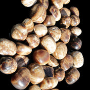 Chocolate Calcite 41 tumbled stones 25*20mm - 30*25mm 725g Wholesale in sunlight - Rocks and Things Store