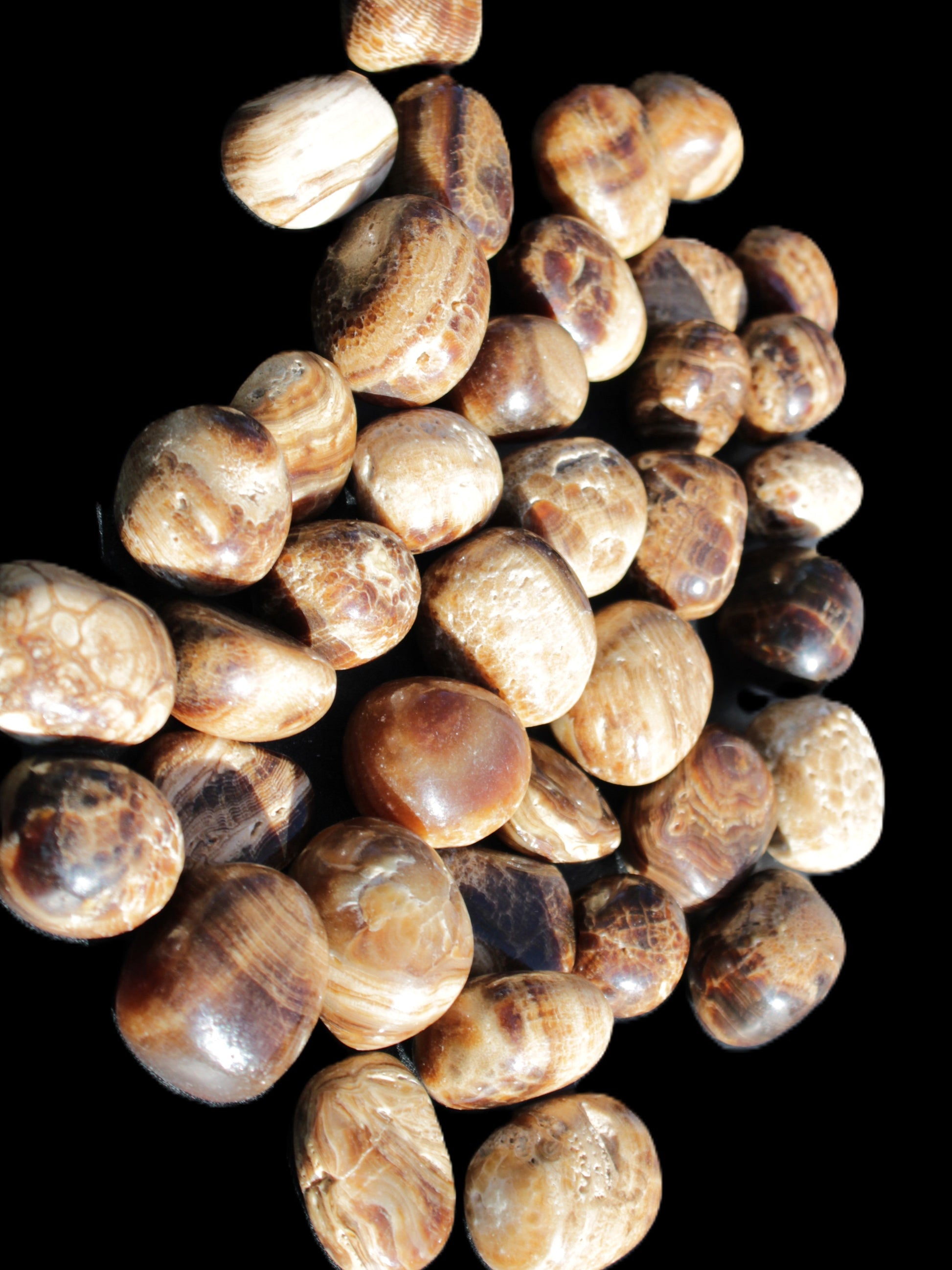 Chocolate Calcite 41 tumbled stones 25*20mm - 30*25mm 725g Wholesale in sunlight - Rocks and Things Store