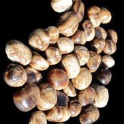 Chocolate Calcite 41 tumbled stones 25*20mm - 30*25mm 725g Wholesale in sunlight - Rocks and Things Store