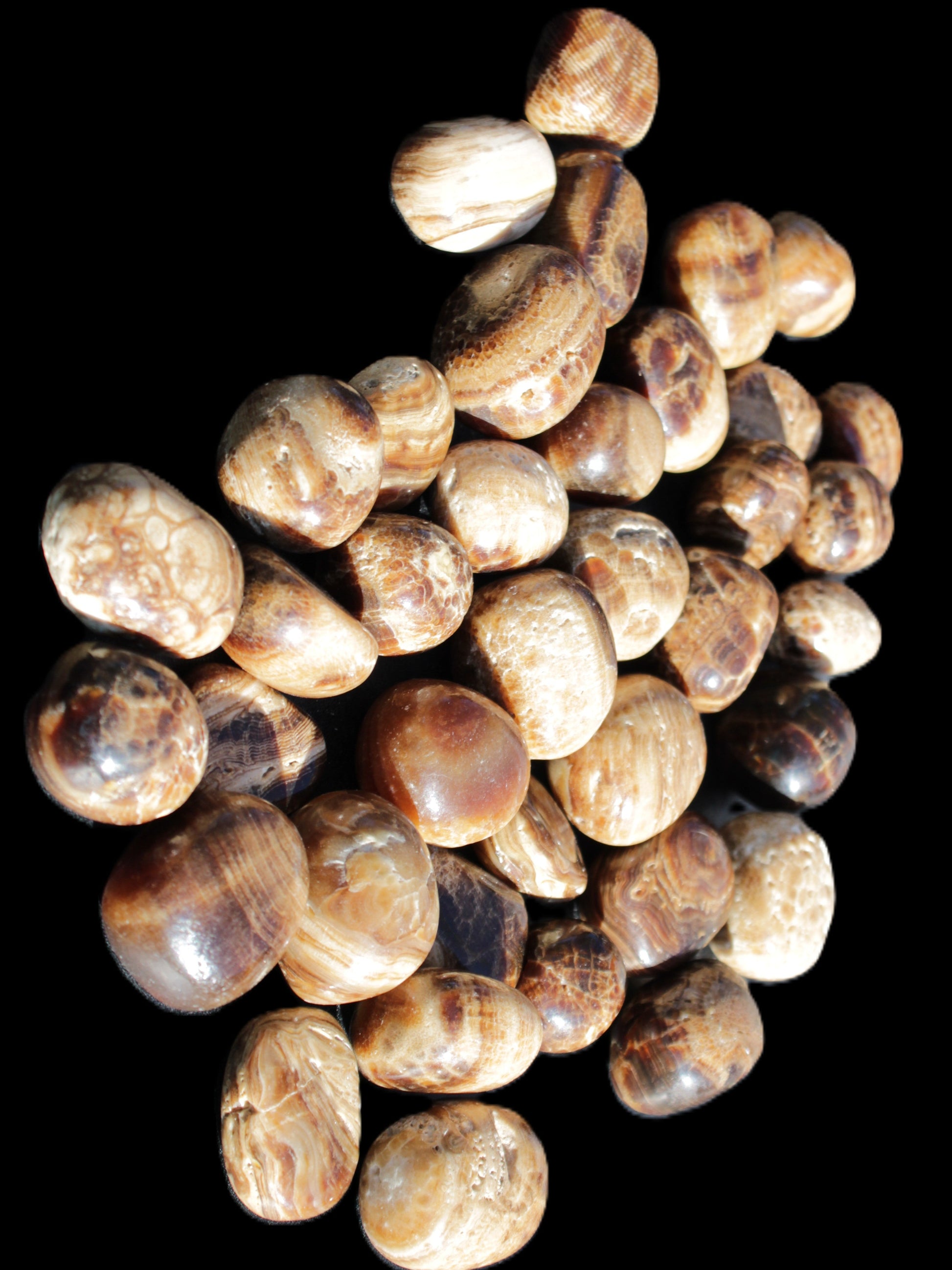 Chocolate Calcite 41 tumbled stones 25*20mm - 30*25mm 725g Wholesale in sunlight - Rocks and Things Store
