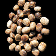 Chocolate Calcite 41 tumbled stones 25*20mm - 30*25mm 725g Wholesale in sunlight - Rocks and Things Store