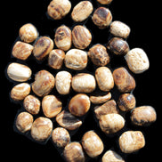 Chocolate Calcite 41 tumbled stones 25*20mm - 30*25mm 725g Wholesale in sunlight - Rocks and Things Store