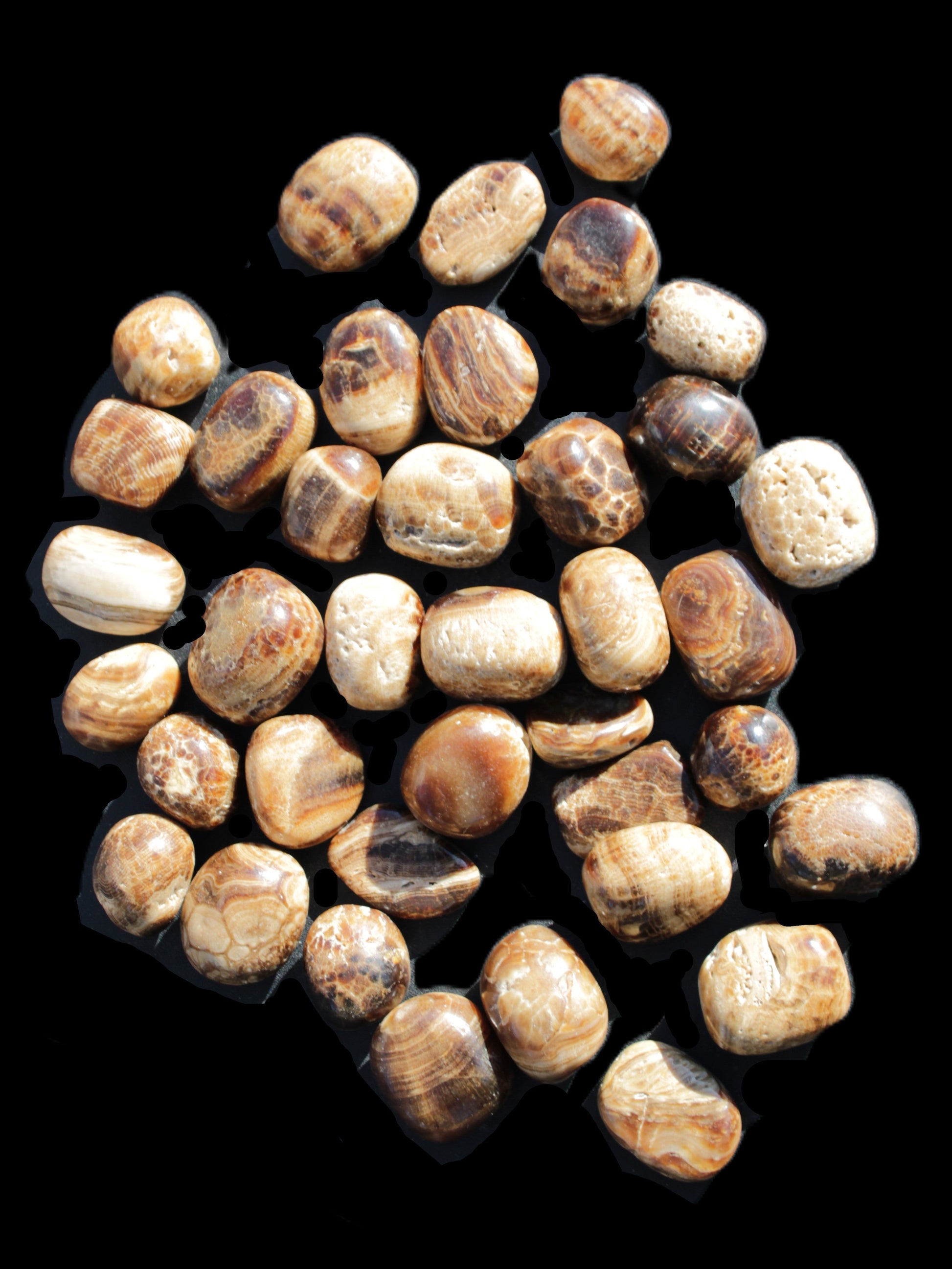 Chocolate Calcite 41 tumbled stones 25*20mm - 30*25mm 725g Wholesale in sunlight - Rocks and Things Store