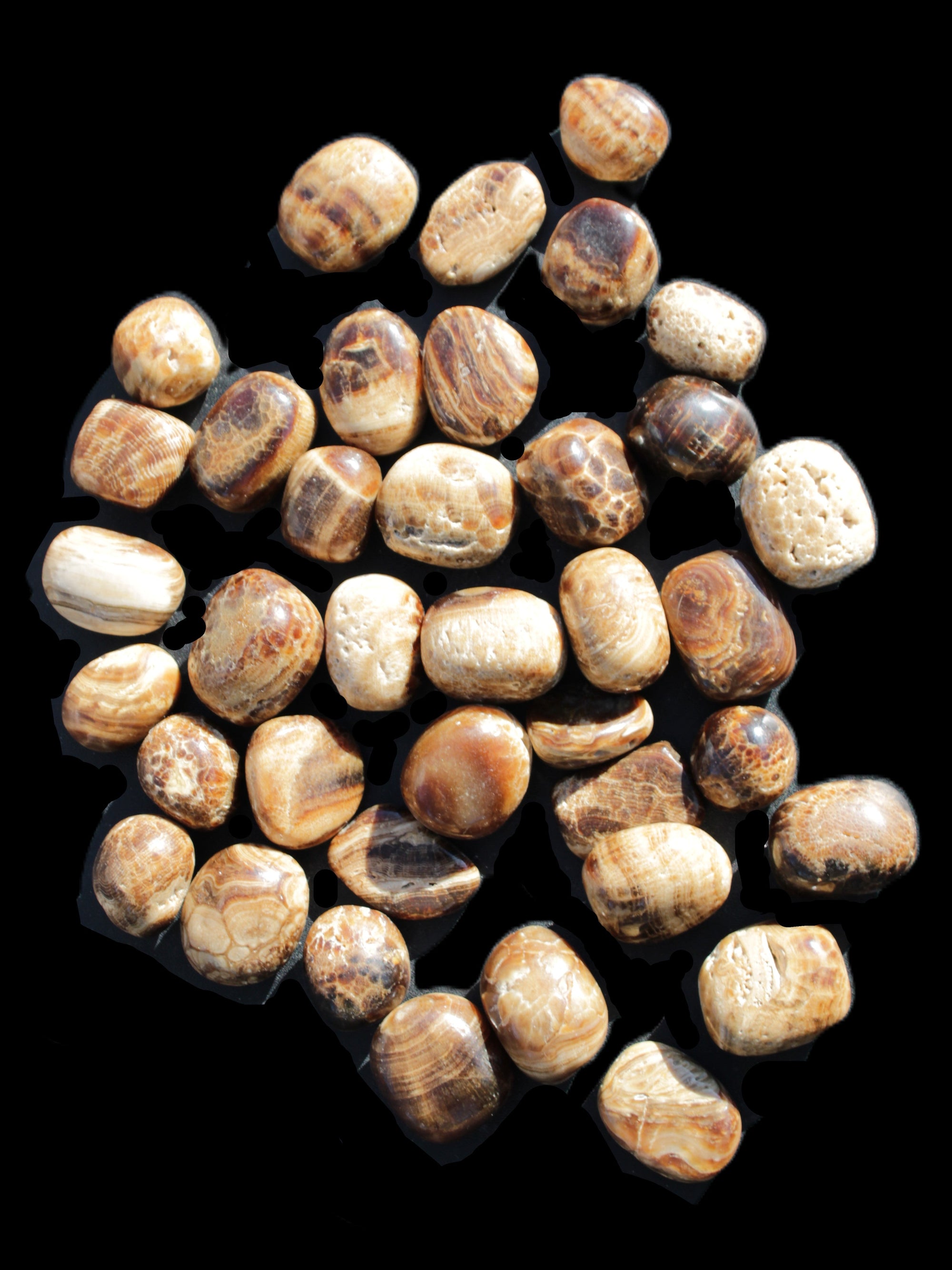 Chocolate Calcite 41 tumbled stones 25*20mm - 30*25mm 725g Wholesale in sunlight - Rocks and Things Store