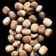 Chocolate Calcite 41 tumbled stones 25*20mm - 30*25mm 725g Wholesale in sunlight - Rocks and Things Store