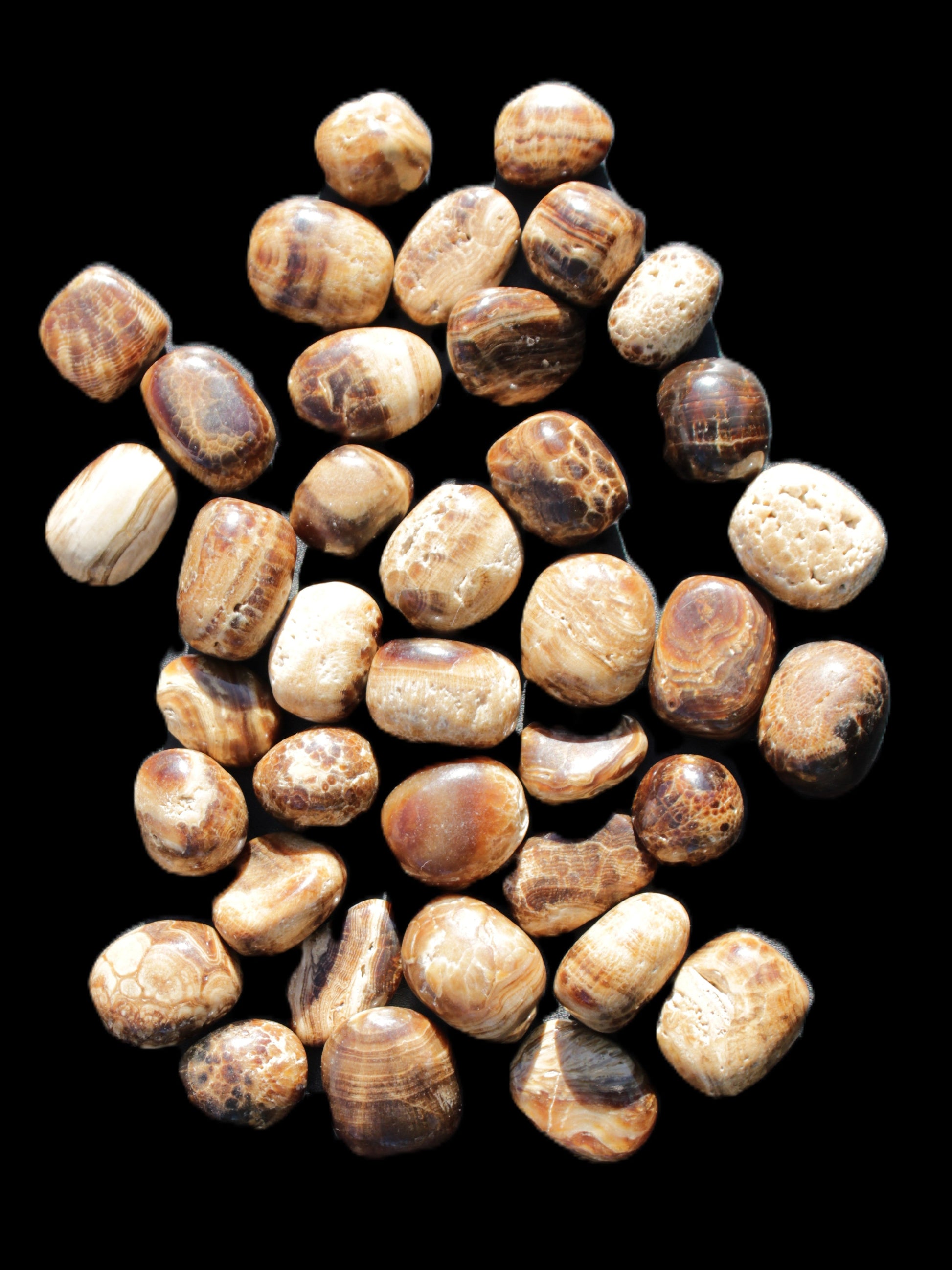 Chocolate Calcite 41 tumbled stones 25*20mm - 30*25mm 725g Wholesale in sunlight - Rocks and Things Store