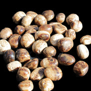 Chocolate Calcite 41 tumbled stones 25*20mm - 30*25mm 725g Wholesale in sunlight - Rocks and Things Store