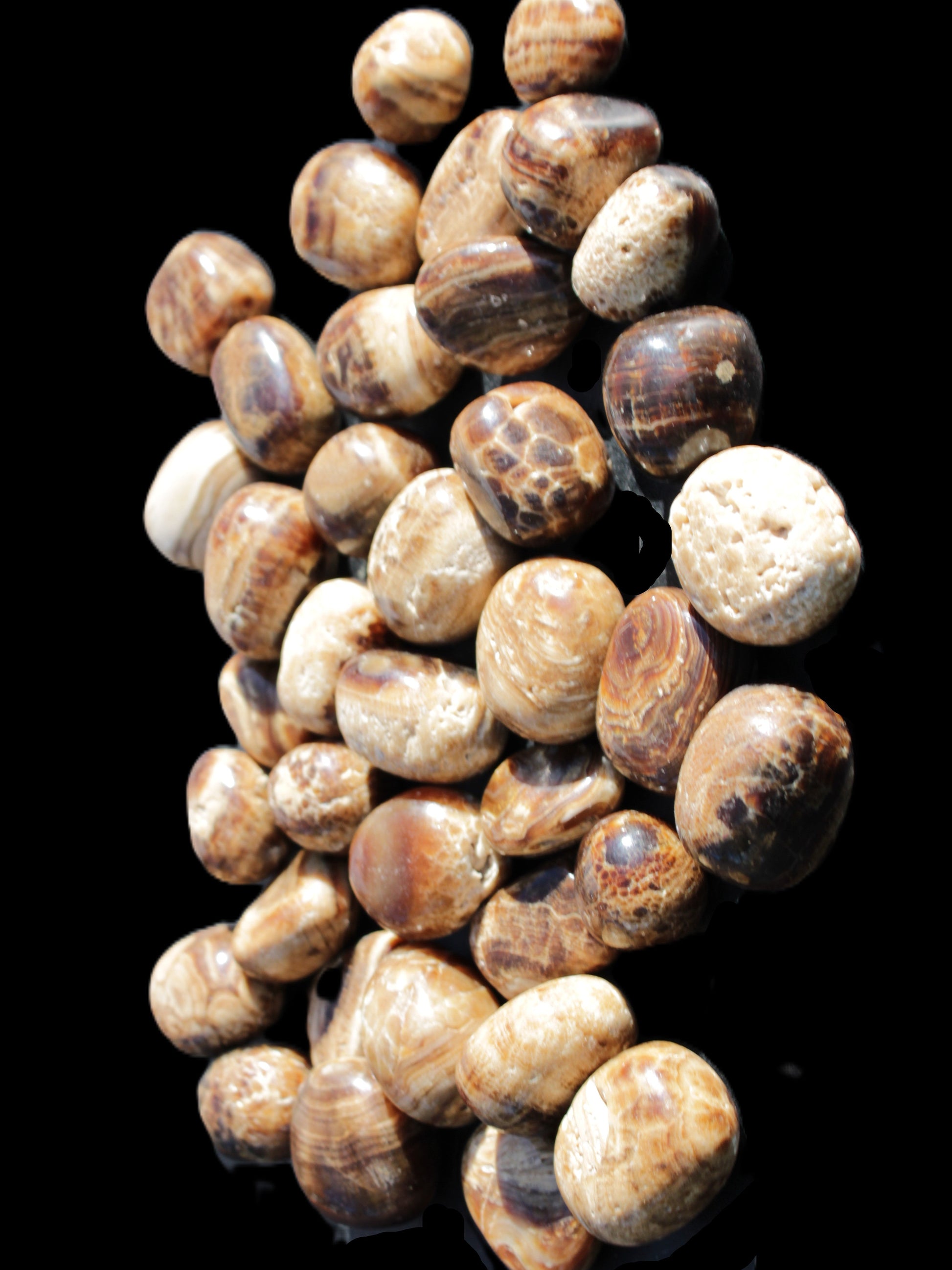 Chocolate Calcite 41 tumbled stones 25*20mm - 30*25mm 725g Wholesale in sunlight - Rocks and Things Store