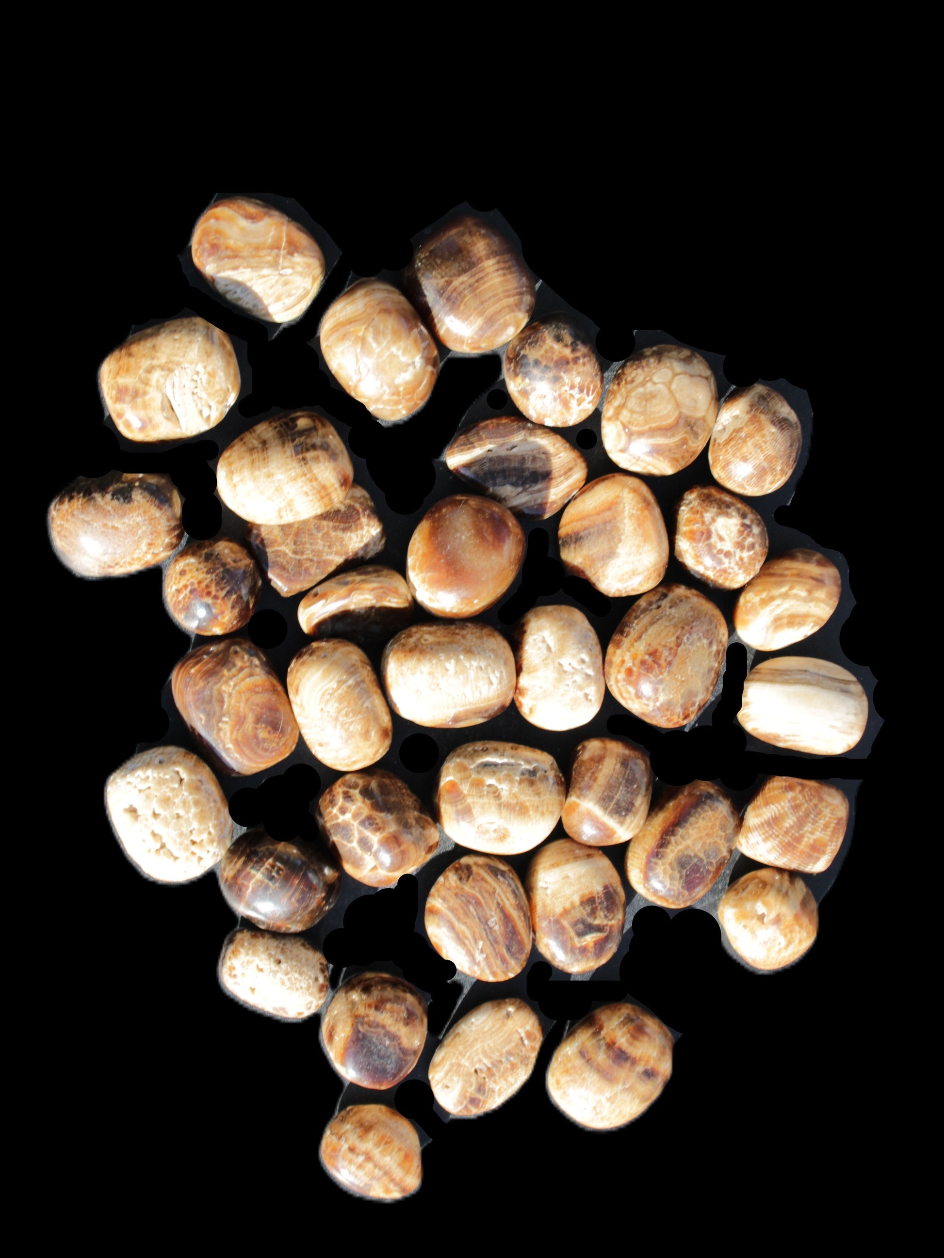 Chocolate Calcite 41 tumbled stones 25*20mm - 30*25mm 725g Wholesale in sunlight - Rocks and Things Store