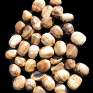 Chocolate Calcite 41 tumbled stones 25*20mm - 30*25mm 725g Wholesale in sunlight - Rocks and Things Store