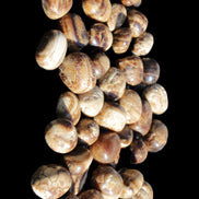 Chocolate Calcite 41 tumbled stones 25*20mm - 30*25mm 725g Wholesale in sunlight - Rocks and Things Store