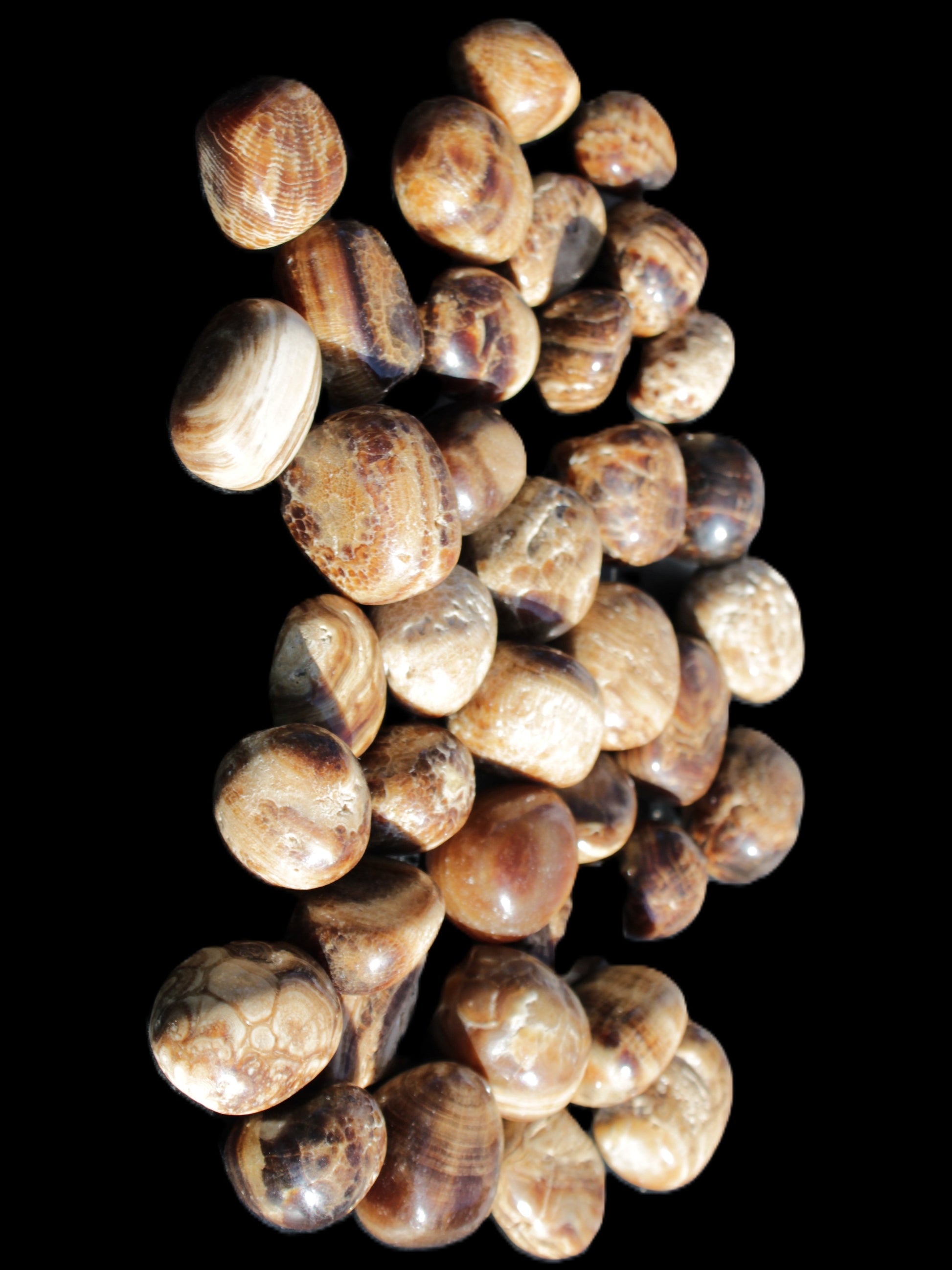Chocolate Calcite 41 tumbled stones 25*20mm - 30*25mm 725g Wholesale in sunlight - Rocks and Things Store