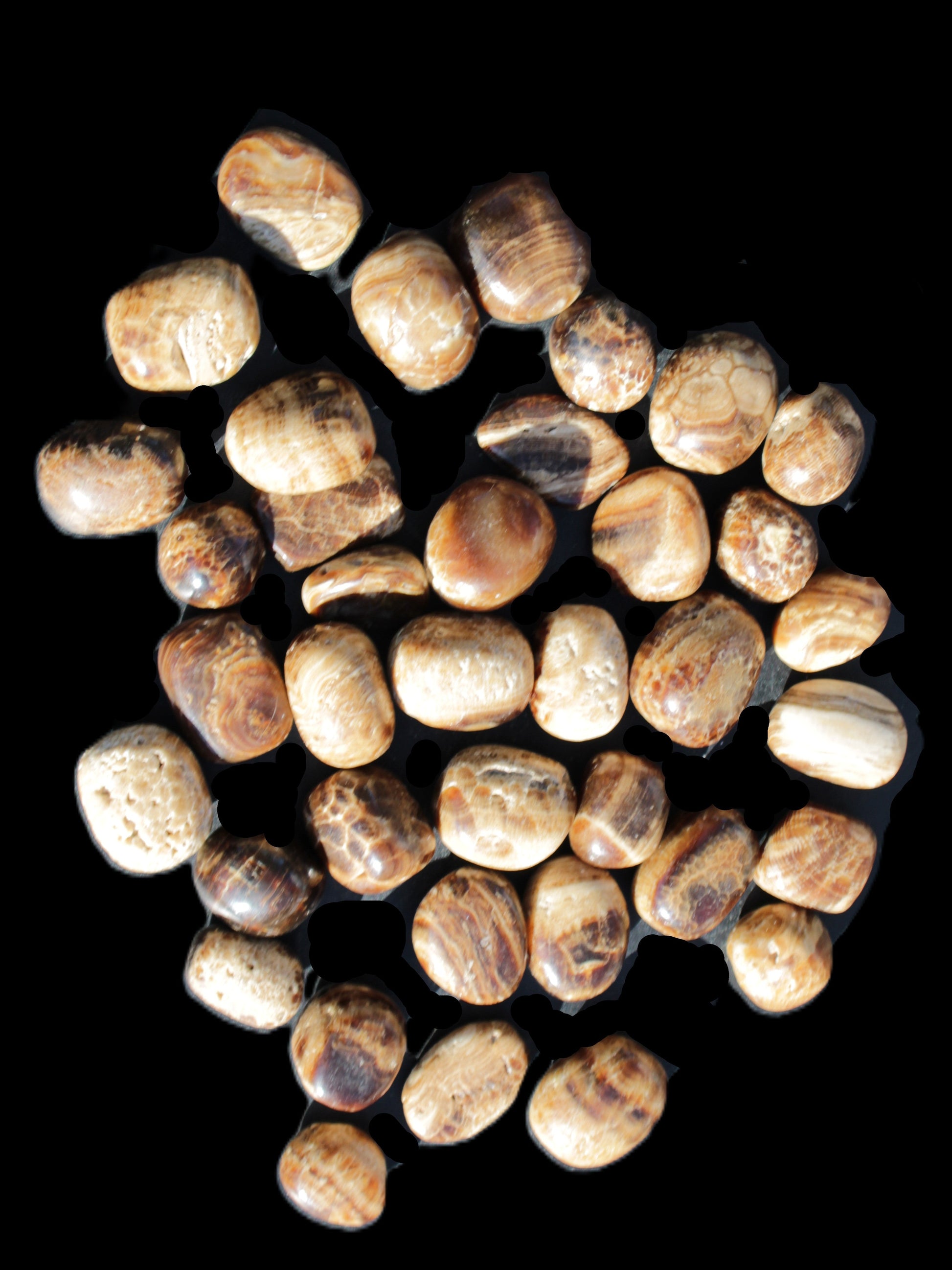 Chocolate Calcite 41 tumbled stones 25*20mm - 30*25mm 725g Wholesale in sunlight - Rocks and Things Store