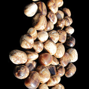 Chocolate Calcite 41 tumbled stones 25*20mm - 30*25mm 725g Wholesale in sunlight - Rocks and Things Store