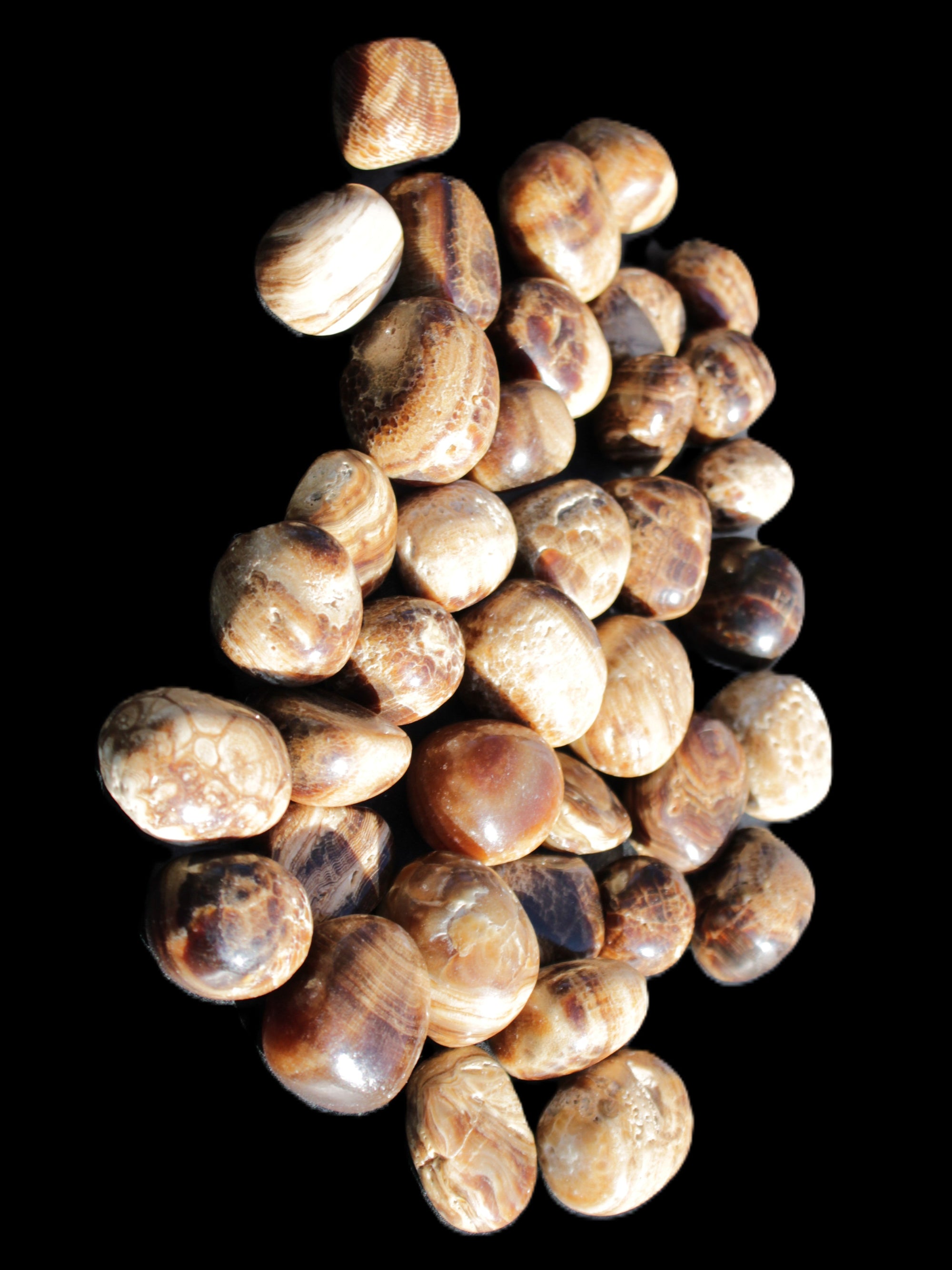 Chocolate Calcite 41 tumbled stones 25*20mm - 30*25mm 725g Wholesale in sunlight - Rocks and Things Store