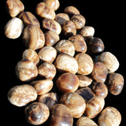 Chocolate Calcite 41 tumbled stones 25*20mm - 30*25mm 725g Wholesale in sunlight - Rocks and Things Store