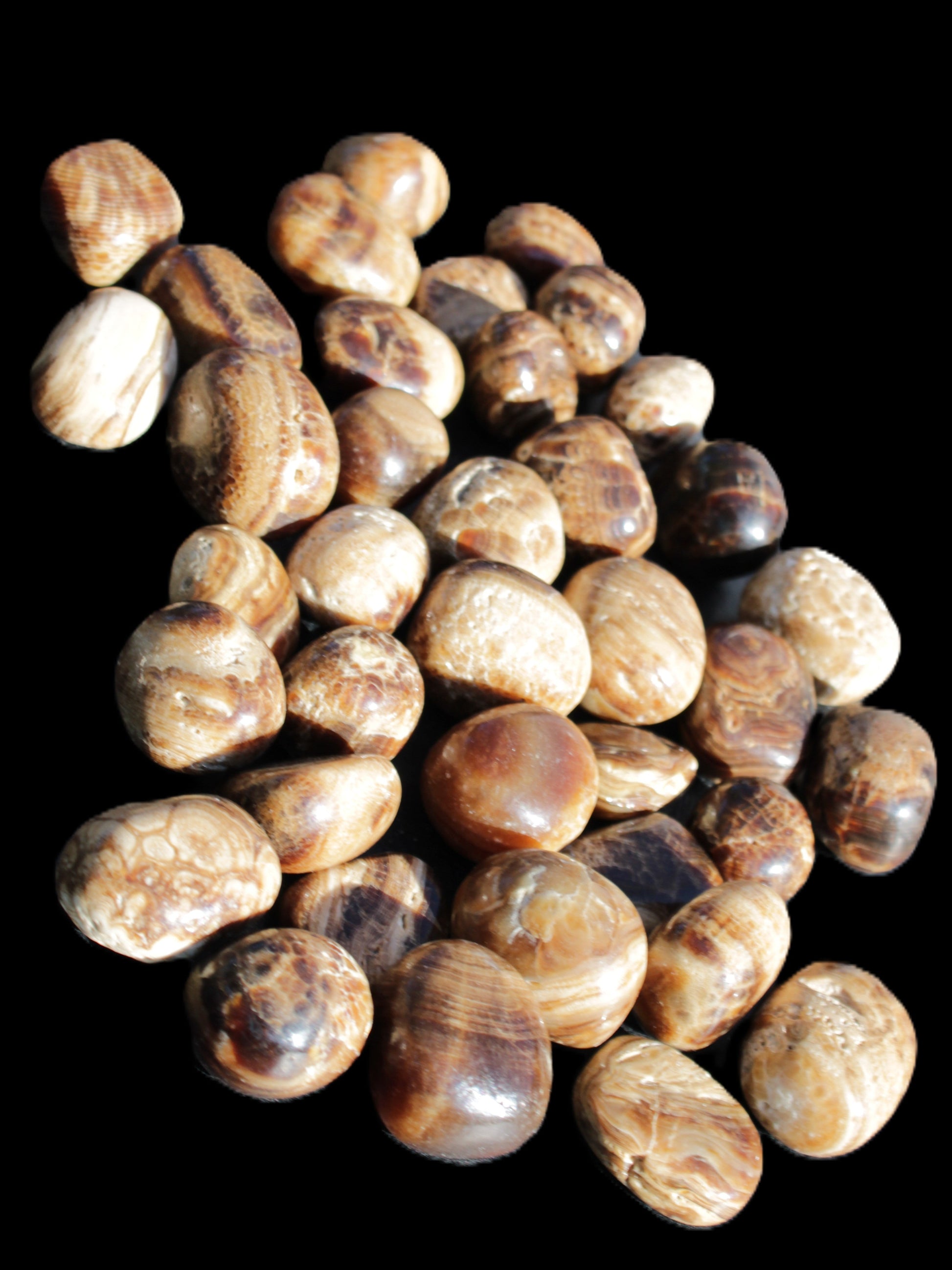 Chocolate Calcite 41 tumbled stones 25*20mm - 30*25mm 725g Wholesale in sunlight - Rocks and Things Store