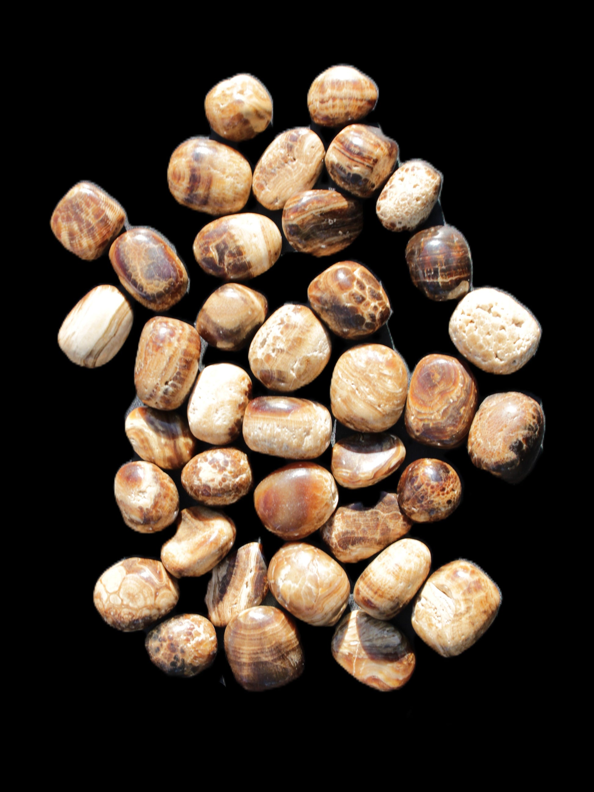 Chocolate Calcite 41 tumbled stones 25*20mm - 30*25mm 725g Wholesale in sunlight - Rocks and Things Store