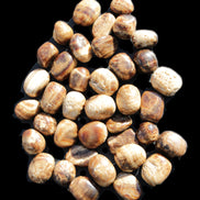 Chocolate Calcite 41 tumbled stones 25*20mm - 30*25mm 725g Wholesale in sunlight - Rocks and Things Store