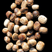 Chocolate Calcite 41 tumbled stones 25*20mm - 30*25mm 725g Wholesale in sunlight - Rocks and Things Store