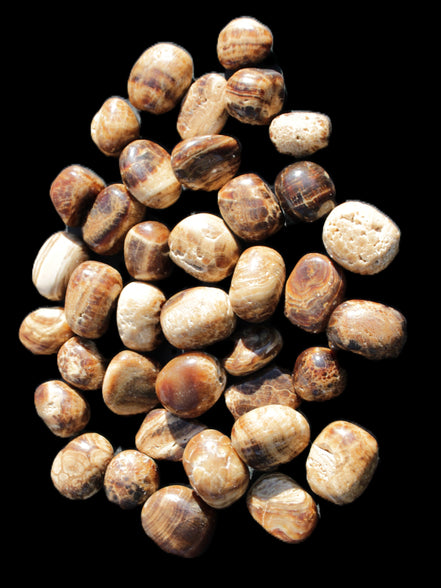 Chocolate Calcite 41 tumbled stones 25*20mm - 30*25mm 725g Wholesale in sunlight - Rocks and Things Store
