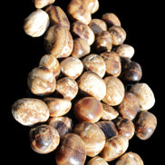 Chocolate Calcite 41 tumbled stones 25*20mm - 30*25mm 725g Wholesale in sunlight - Rocks and Things Store