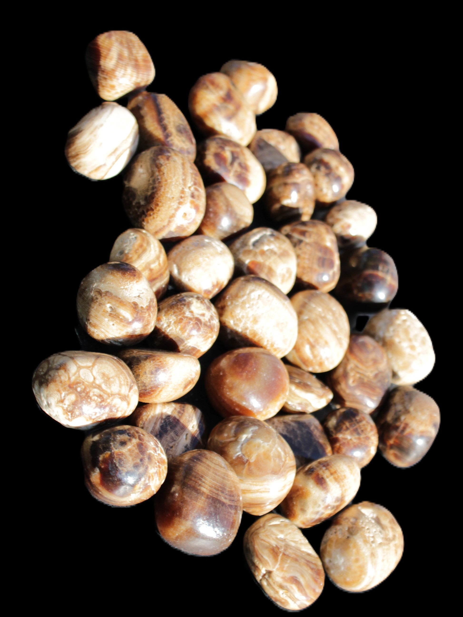 Chocolate Calcite 41 tumbled stones 25*20mm - 30*25mm 725g Wholesale in sunlight - Rocks and Things Store