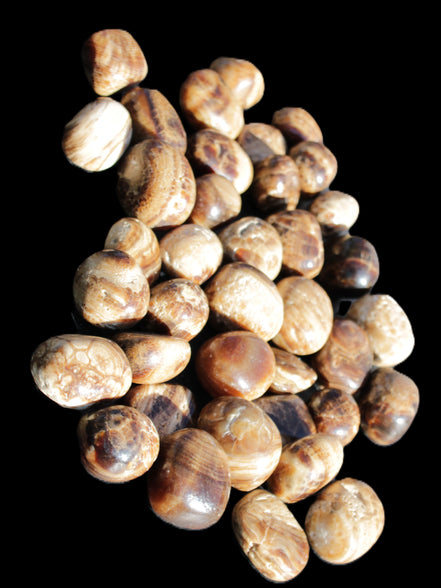 Chocolate Calcite 41 tumbled stones 25*20mm - 30*25mm 725g Wholesale in sunlight - Rocks and Things Store