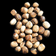 Chocolate Calcite 41 tumbled stones 25*20mm - 30*25mm 725g Wholesale in sunlight - Rocks and Things Store