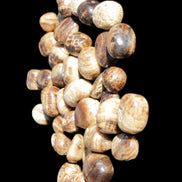 Chocolate Calcite 41 tumbled stones 25*20mm - 30*25mm 725g Wholesale in sunlight - Rocks and Things Store