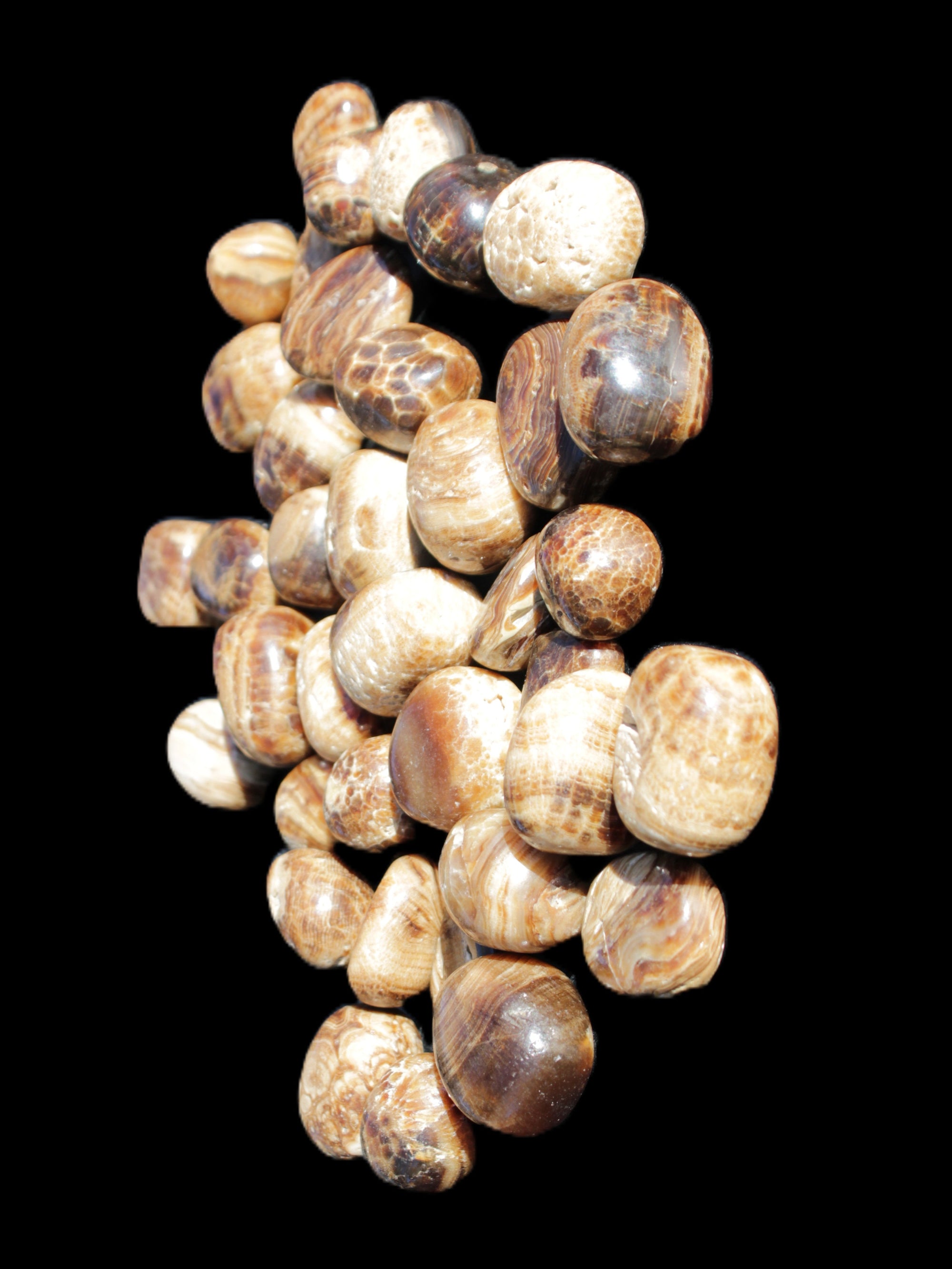 Chocolate Calcite 41 tumbled stones 25*20mm - 30*25mm 725g Wholesale in sunlight - Rocks and Things Store