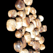 Chocolate Calcite 41 tumbled stones 25*20mm - 30*25mm 725g Wholesale in sunlight - Rocks and Things Store