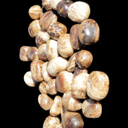 Chocolate Calcite 41 tumbled stones 25*20mm - 30*25mm 725g Wholesale in sunlight - Rocks and Things Store