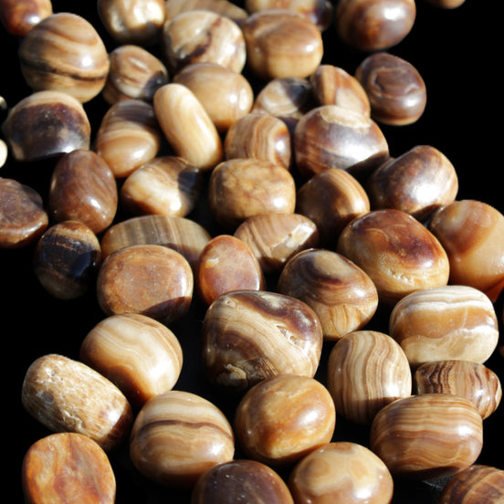 Chocolate Calcite 55 tumbled stones 21*11mm - 24-23mm 810g Wholesale in sunlight - Rocks and Things Store
