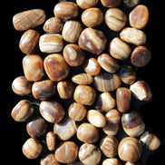 Chocolate Calcite 55 tumbled stones 21*11mm - 24-23mm  810g Wholesale in sunlight - Rocks and Things Store