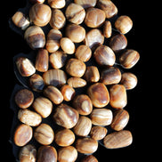 Chocolate Calcite 55 tumbled stones 21*11mm - 24-23mm  810g Wholesale in sunlight - Rocks and Things Store