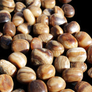 Chocolate Calcite 55 tumbled stones 21*11mm - 24-23mm  810g Wholesale in sunlight - Rocks and Things Store