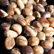 Chocolate Calcite 55 tumbled stones 21*11mm - 24-23mm  810g Wholesale in sunlight - Rocks and Things Store