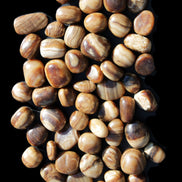 Chocolate Calcite 55 tumbled stones 21*11mm - 24-23mm  810g Wholesale in sunlight - Rocks and Things Store