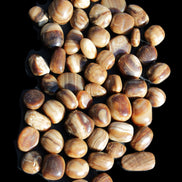 Chocolate Calcite 55 tumbled stones 21*11mm - 24-23mm  810g Wholesale in sunlight - Rocks and Things Store