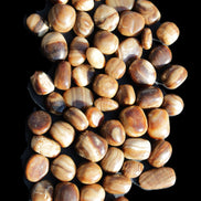 Chocolate Calcite 55 tumbled stones 21*11mm - 24-23mm  810g Wholesale in sunlight - Rocks and Things Store