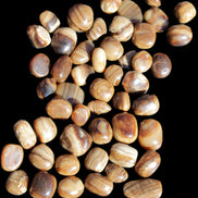 Chocolate Calcite 55 tumbled stones 21*11mm - 24-23mm  810g Wholesale in sunlight - Rocks and Things Store