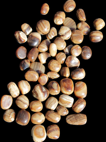 Chocolate Calcite 55 tumbled stones 21*11mm - 24-23mm  810g Wholesale in sunlight - Rocks and Things Store