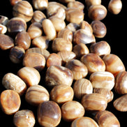 Chocolate Calcite 55 tumbled stones 21*11mm - 24-23mm  810g Wholesale in sunlight - Rocks and Things Store